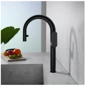 Fortis Mosa extend Robinetterie de cuisine à 2 types de jets, pivotant... pas cher