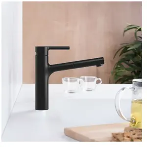 Fortis Barona extend Mitigeur de cuisine pivotant, douchette extractib... pas cher