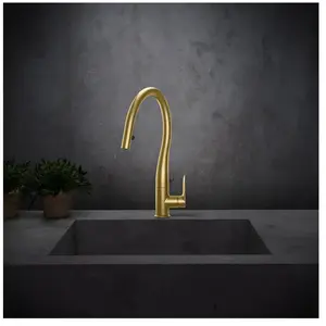 Fortis Mosa extend Robinetterie de cuisine à 2 types de jets, pivotante avec douchette extractible, 0959101BG, pas cher