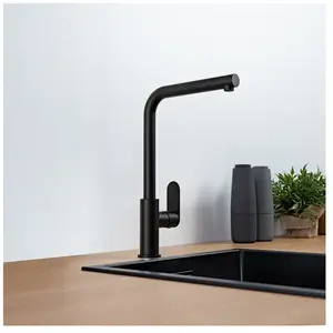 Fortis Lica Robinetterie de cuisine pivotante, 1857201BB, pas cher