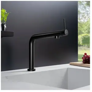 Fortis Brera top Mitigeur de cuisine, 7857900MB, pas cher