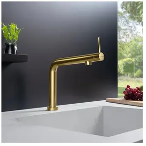 Fortis Brera top Mitigeur de cuisine, 7857900BG, pas cher