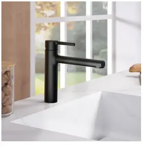 Fortis Barona Mitigeur de cuisine, pivotant, 6458300MB,