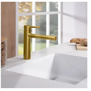 Fortis Barona Mitigeur de cuisine, pivotant, 6458300BG, pas cher