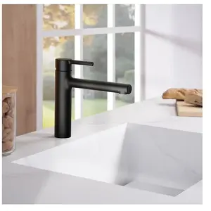 Fortis Barona Mitigeur de cuisine, pivotant, 6458300BB, pas cher