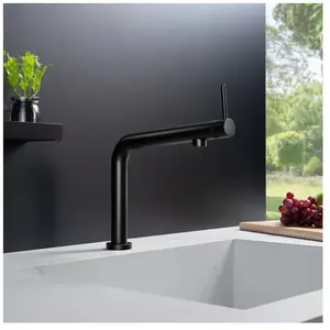 Fortis Brera top Mitigeur de cuisine, 7857900BB, pas cher