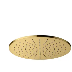 Fortis Douche de tête métallique ronde Ø 300 mm, 7593002BG, pas cher