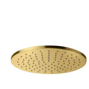 Fortis Douche de tête métallique ronde Ø 250 mm, 7592503BG, pas cher