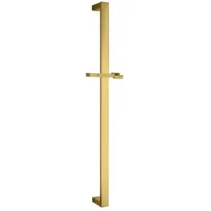 Fortis Barre de douche carré, 50129QQBG, pas cher