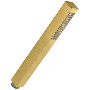 Fortis Wellness Douchette en métal, carrée, 15501BG, pas cher