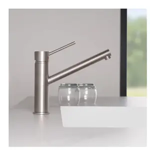 Fortis Brera Steel Mitigeur de cuisine pivotant, 1573STEEL,