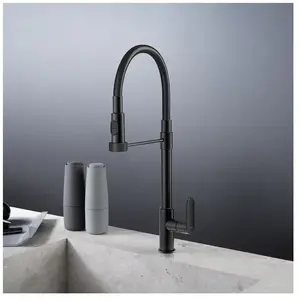 Fortis Lica flex Robinetterie de cuisine à 2 types de jets, pivotante,... pas cher