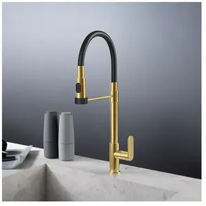 Fortis Lica flex Robinetterie de cuisine à 2 types de jets, pivotante,...