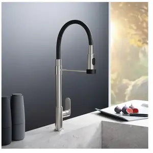 Fortis Lica flex Robinetterie de cuisine à 2 types de jets, pivotante,...