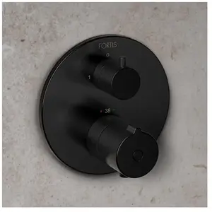 Fortis round Mitigeur thermostatique pour 2 sorties, pour corps d’encastrement Toya, 78691THBB, pas cher