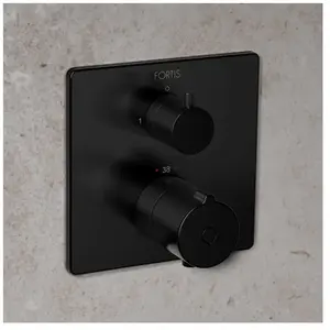 Fortis square Mitigeur thermostatique pour 2 sorties, pour corps d’encastrement Toya, 84691THBB, pas cher