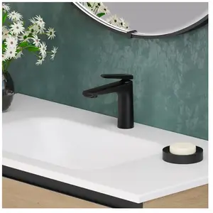Fortis Natura Mitigeur de lavabo, taille M, 9521101MB, pas cher