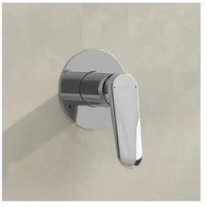 Fortis Natura Robinet de douche monocommande, 1 sortie, encastré, 9569...