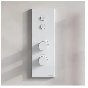 Fortis Mitigeur thermostatique pour 2 sorties, installation à la verti... pas cher