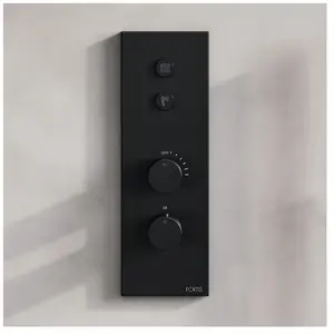 Fortis Mitigeur thermostatique pour 2 sorties, installation à la verti... pas cher