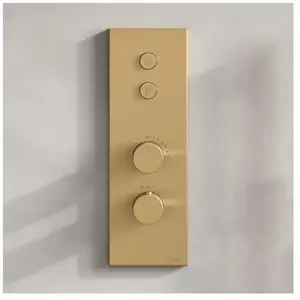 Fortis Mitigeur thermostatique pour 2 sorties, installation à la verticale, pour corps d’encastrement Blocco, 50722THBG, pas cher