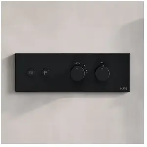 Fortis Mitigeur thermostatique pour 2 sorties, installation à l’horizo... pas cher