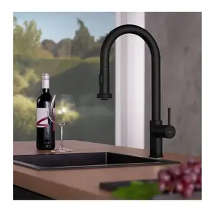 Fortis Milano extend Robinetterie de cuisine à 2 jets, pivotante, douc...