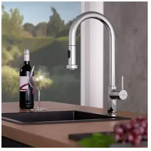 Fortis Milano extend Robinetterie de cuisine à 2 jets, pivotante, douc...