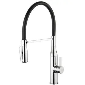 Fortis Romana flex Robinetterie de cuisine à 2 jets, pivotante, bec so...