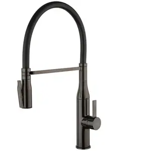 Fortis Romana flex Robinetterie de cuisine à 2 jets, pivotante, bec so... pas cher