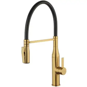 Fortis Romana flex Robinetterie de cuisine à 2 jets, pivotante, bec so... pas cher