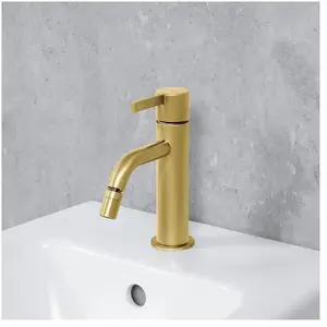 Fortis Bria Mitigeur de bidet, T330600BG, pas cher