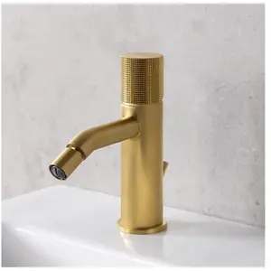 Fortis Brera Grip Robinetterie de bidet, 7G30600BG, pas cher