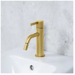 Fortis Lica Mitigeur de bidet, 1830600BG, pas cher