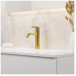 Fortis Bria Small Mitigeur de lavabo, T320500BG, pas cher