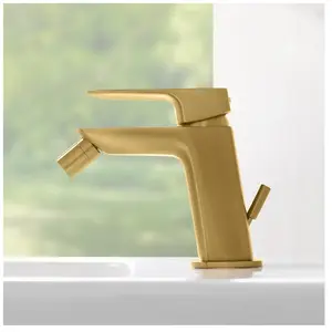 Fortis Mosa Mitigeur de bidet, 0930600BG, pas cher