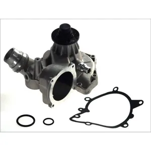 Pompe à eau MAGNETI MARELLI 352316170047 pas cher