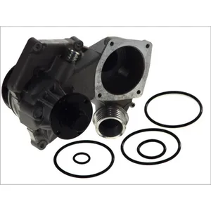 Pompe à eau MAGNETI MARELLI 352316170054 pas cher
