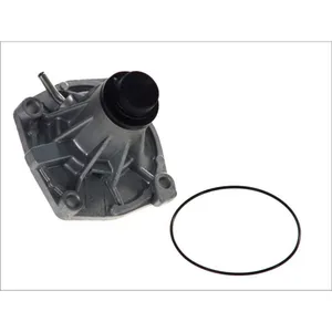 Pompe à eau MAGNETI MARELLI 352316170018 pas cher