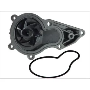 Pompe à eau MAGNETI MARELLI 352316170096 pas cher