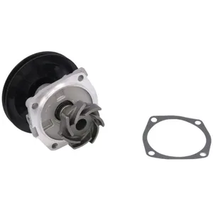 Pompe à eau MAGNETI MARELLI 352316170310 pas cher