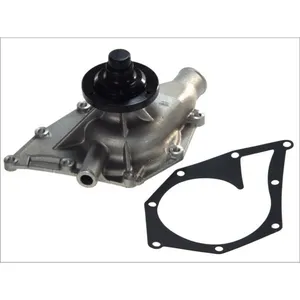 Pompe à eau MAGNETI MARELLI 352316170938 pas cher