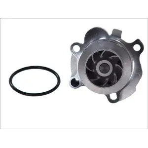 Comparateur de prix : Pompe à eau MAGNETI MARELLI 352316171180