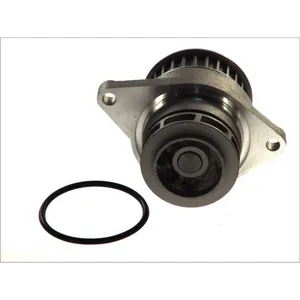 Pompe à eau MAGNETI MARELLI 352316171189 pas cher