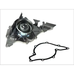 Pompe à eau MAGNETI MARELLI 352316171178 pas cher