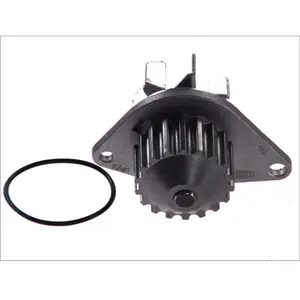 Pompe à eau MAGNETI MARELLI 352316170904 pas cher