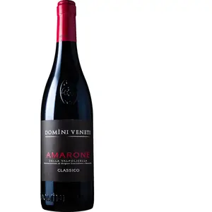 Domini Veneti Amarone della Valpolicella Classico 2021 0.75 l