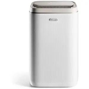 Delonghi Tasciugo AriaDry Plus DTI220 pas cher