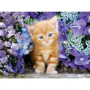 Puzzle - Clementoni - Ginger cat in flowers - 500 pièces - Multicolore - Adulte pas cher