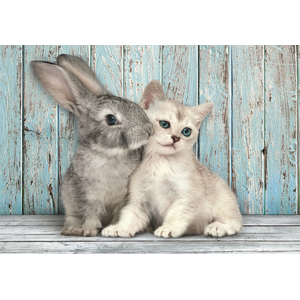 Puzzle 500 pièces - CLEMENTONI - Chat et Lapin - Animaux - Intérieur - Enfant pas cher